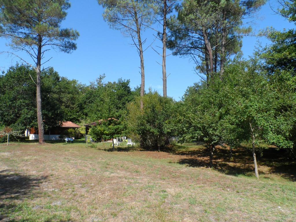 Les Chalets Du Gelat, Nature Et Calme Noaillan Exterior photo