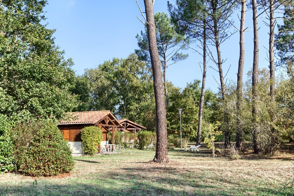 Les Chalets Du Gelat, Nature Et Calme Noaillan Exterior photo